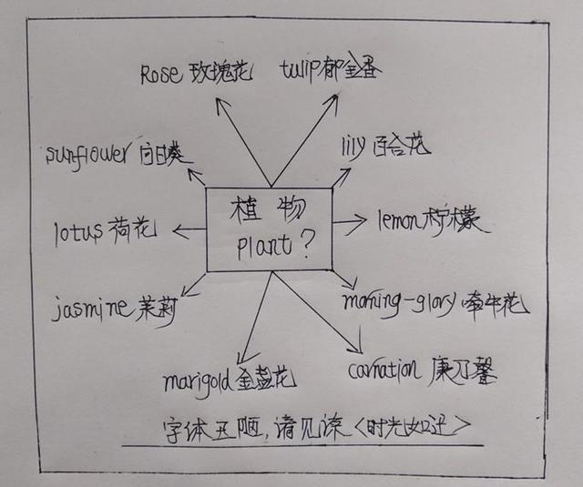 初中生如何高效背单词(高效地背单词的技巧)