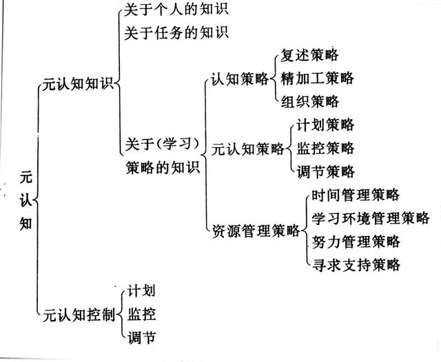 文言文实词怎么学习(提高文言文实词的学习方法)