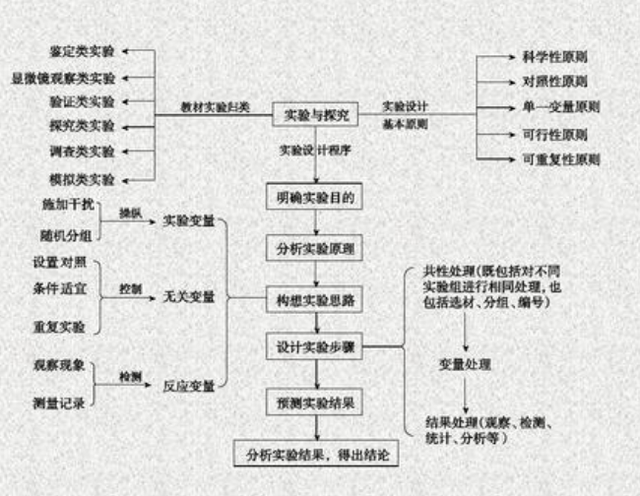 生物学习方法有哪些(高效地学习生物的方法)