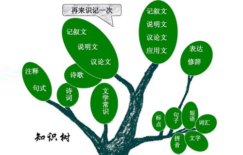 如何让孩子主动学习(激发孩子学习兴趣的方法)
