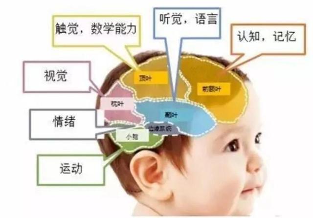 有效的背书方法有哪些(有效的背书方法分享)