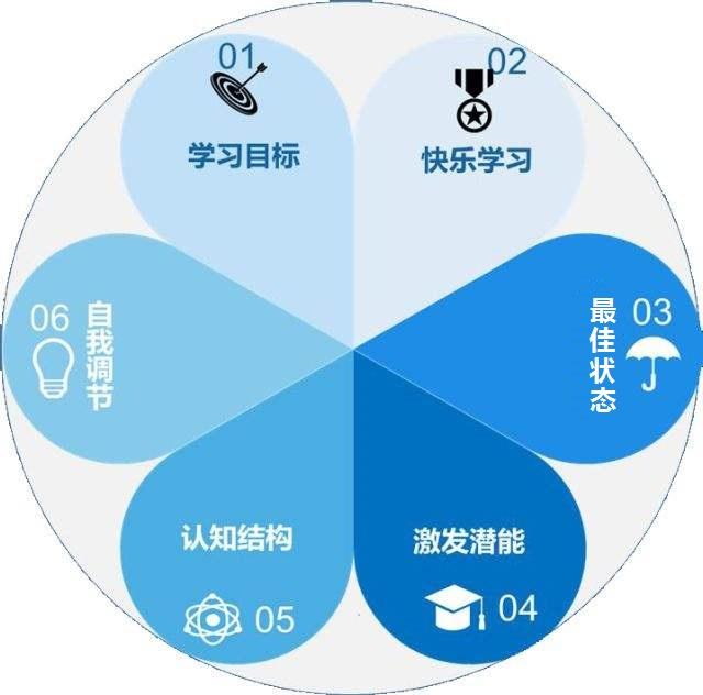 如何学会定期复习(学会并坚持定期复习的建议)