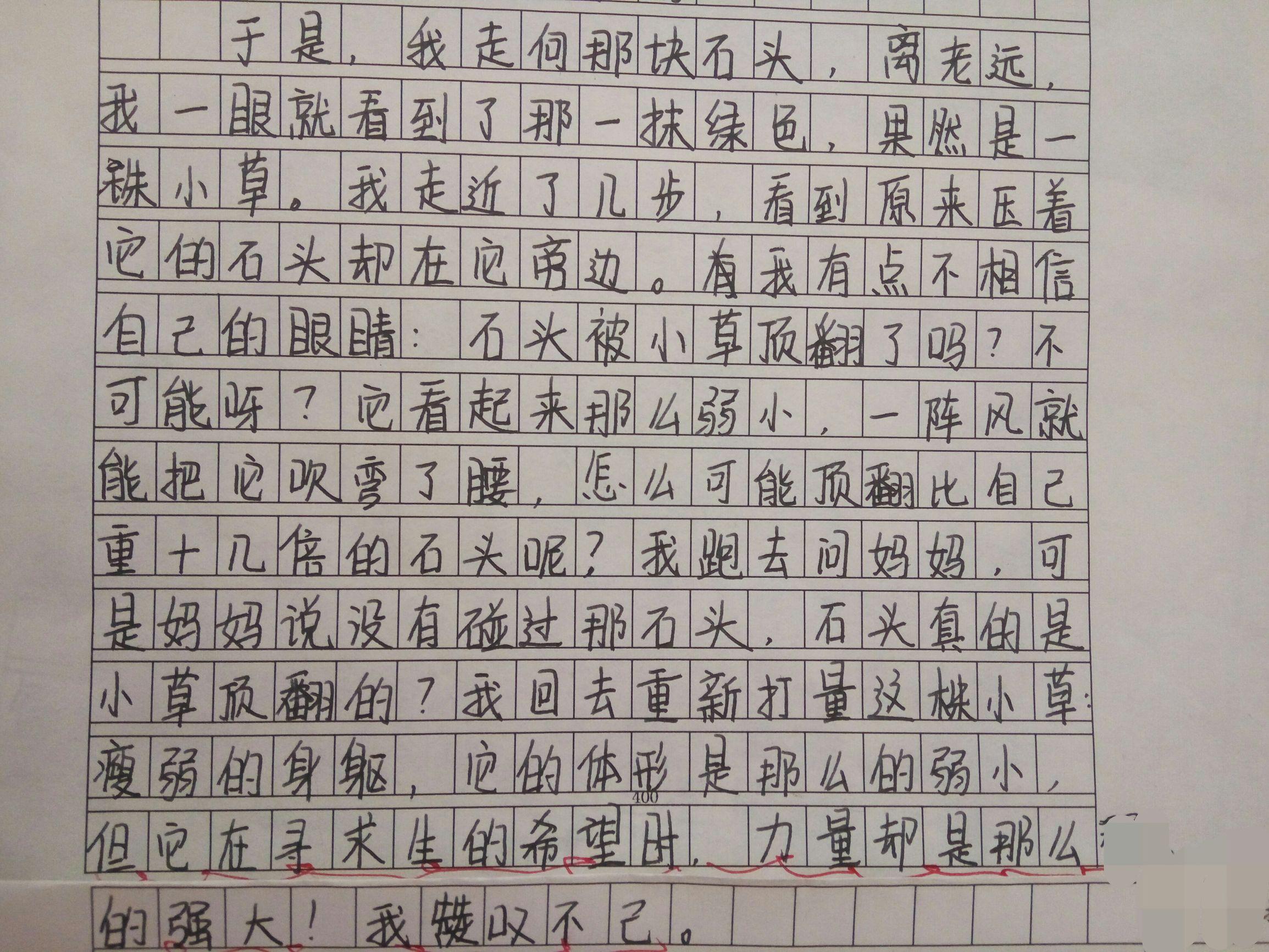 理科各分数段怎么选(选择理科各科目分数段的建议)
