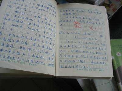 怎么掌握写作文的技巧(掌握写作文技巧的方法)