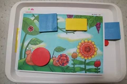 物理应该怎么学(掌握物理知识的方法)