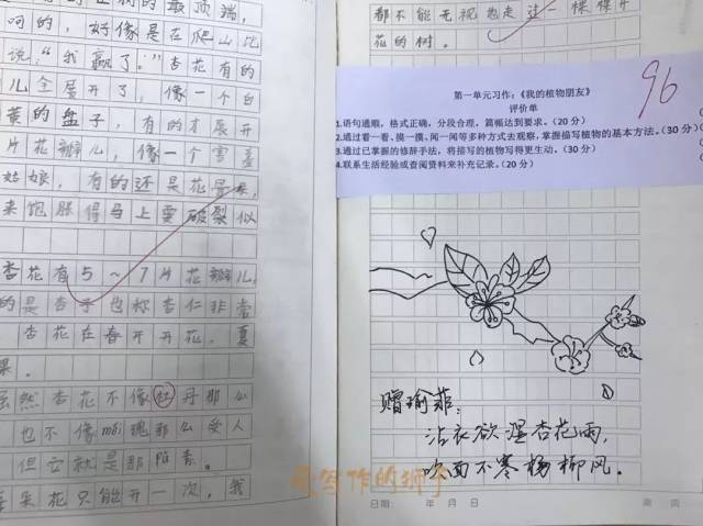 该怎么提升写作技巧(提高写作能力的方法)