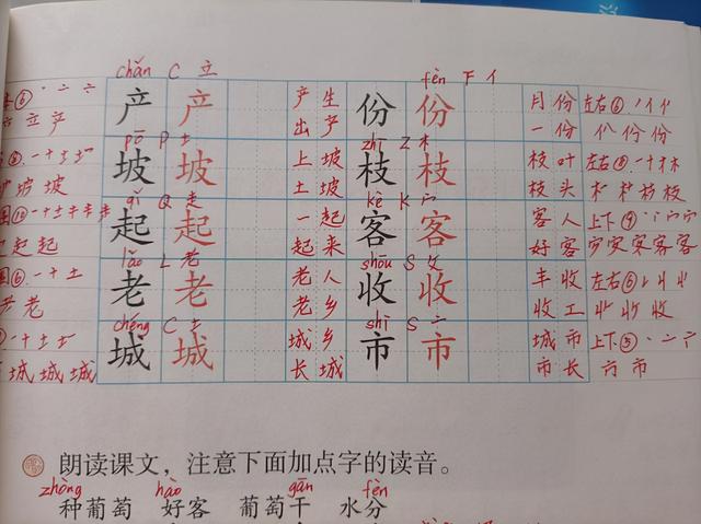 生字学习方法有哪些(有效的生字学习方法)