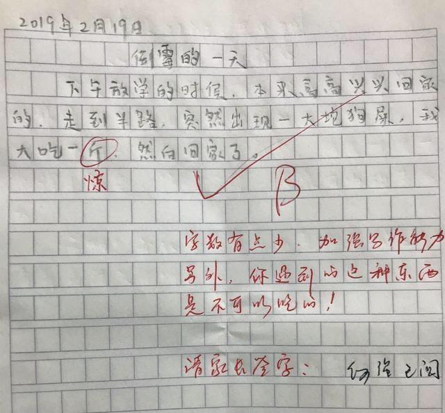 小学作文怎么提升(提升小学作文能力的建议)