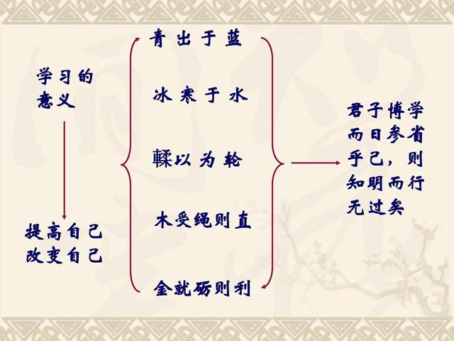 复习怎么回归课本(回归课本进行复习的方法)