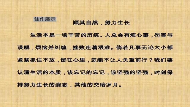 作文怎么整理高分思路(整理高分作文思路的建议)