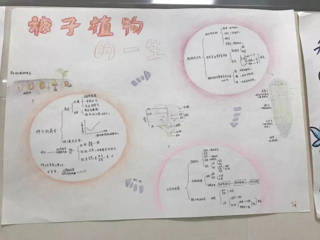 生物怎么提升分数(提升生物分数的技巧)