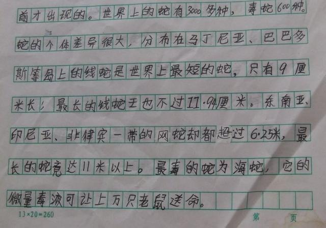 写动物作文如何写好(写好动物主题作文的技巧)
