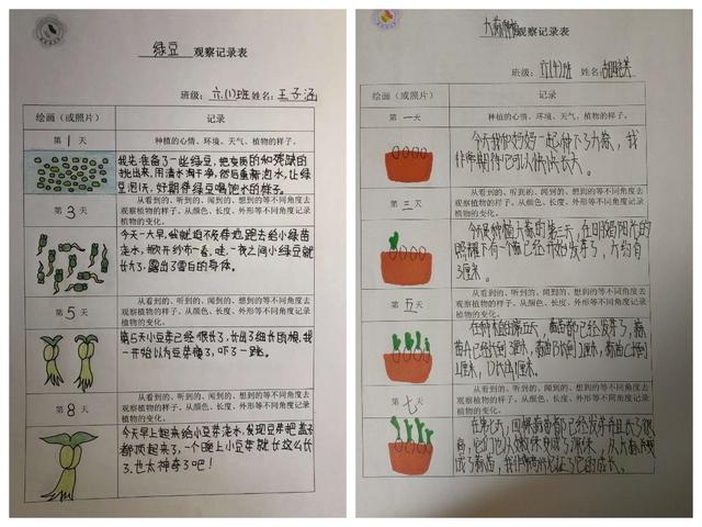 英语怎么培养语感(增强英语语感的技巧)