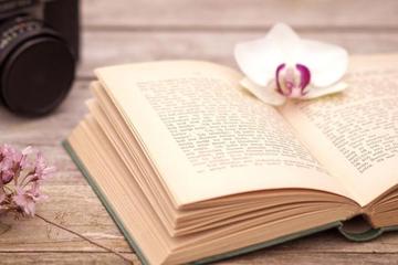 如何抓住高效的学习时间段(抓住高效学习时间段的建议)