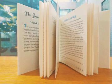 高中英语怎么晨读(进行高中英语晨读的建议)