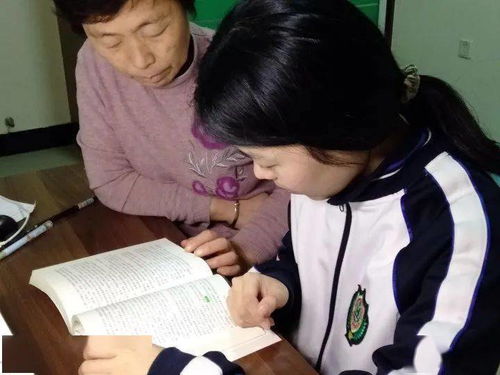 历史如何提分(历史提分的技巧)