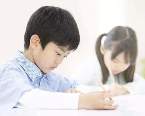 写作业拖延怎么处理(提高作业完成率的建议)