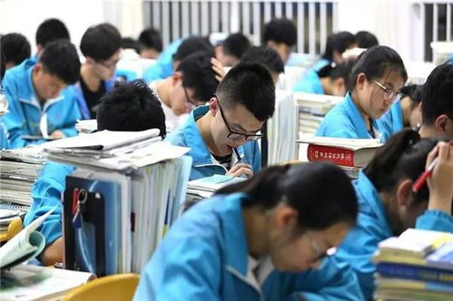 如何掌握题目的本质(深入理解题目的步骤)