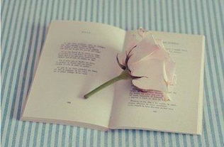 怎样控制情绪(管理好情绪的方法)