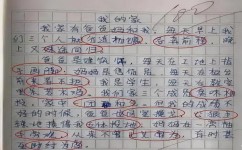 如何了解作文的本质(理解作文本质的技巧) 如何了解作文的本质(理解作文本质的技巧)