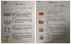 英语怎么培养语感(增强英语语感的技巧) 英语怎么培养语感(增强英语语感的技巧)