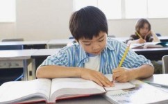 该怎么培养总结归纳能力(提高总结和归纳能力的策略)